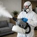 Attack Prest Solution - Servicii DDD (Deratizare, Dezinsectie, Dezinfectie)
