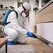 Attack Prest Solution - Servicii DDD (Deratizare, Dezinsectie, Dezinfectie)
